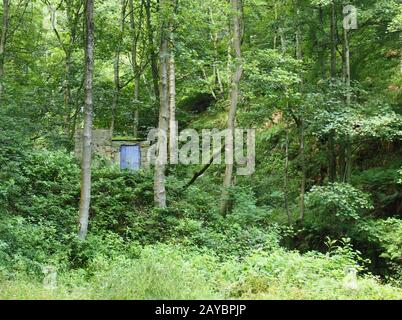 Ein winziger Steinbau mit blauer Tür, versteckt in dichtem Grünwald mit hohen alten Bäumen Stockfoto