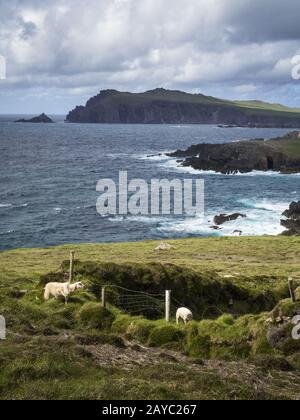 Bei Clougher fahren Sie an der Westküste Irelands Stockfoto