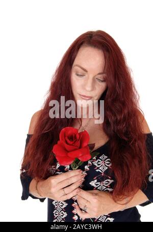 Frau mit roten Haaren, die auf ihre rote Rose blickt Stockfoto