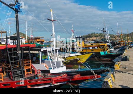 Boote, meist Ausflugsboote für Touristen, im Hafen von Labuan Bajo, einer Fischerstadt am westlichen Ende der großen Insel Flores im Stockfoto