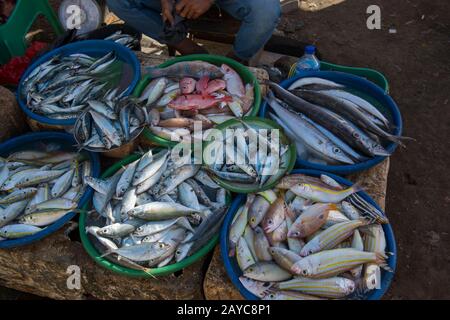 Eine Marktszene mit frischem Fisch zum Verkauf auf dem Markt in Labuan Bajo, einer Fischerstadt am westlichen Ende der großen Insel Flores in der N Stockfoto