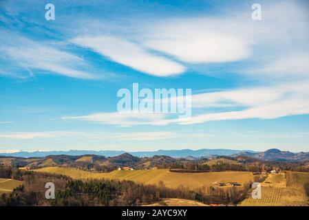 Blick auf Weinberge. Leibnitz Gebiet südlich Steiermark Ort Stockfoto