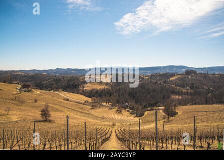 Panorama der Weinberge. Leibnitz Gebiet südlich Steiermark Ort Stockfoto