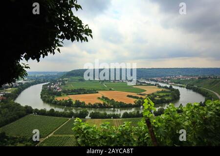 Mundelsheim am Neckar ein Weingebiet bei Stuttgart Stockfoto