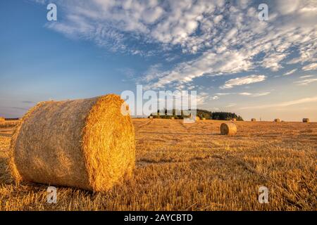 geernteten Feld mit Strohballen im Sommer Stockfoto