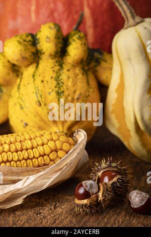 Kastanie mit lampionblüte auf dunklem Holz Stockfoto