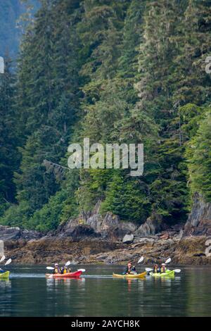 Passagiere des Kreuzfahrtschiffs Safari Endeavour Kajak in Windham Bay, Stephens Passage, in Alaska bei Juneau, Tongass National Forest, Alaska, USA Stockfoto