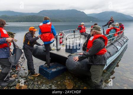 Passagiere des Kreuzfahrtschiffs Safari Endeavour, die einen Tauchzodiac am Strand von Windham Bay, Stephens Passage, in Alaska bei Juneau, Tongass N, boardieren Stockfoto