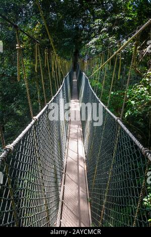 Hängebrücke, Taman Negara Nationalpark, Malaysia Stockfoto