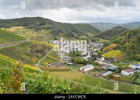 Wandern auf dem Rotweinpfad im Ahr-Tal im Regen Stockfoto