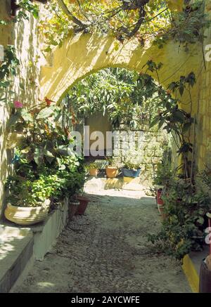 Eine alte, sonnige Gasse in der stadt rhodos mit gelben Steinbögen zwischen Wänden und Blumen, die in Topfpflanzen wachsen Stockfoto