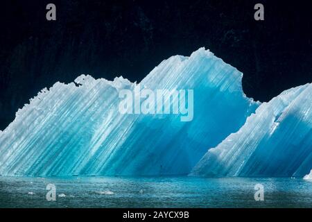 Eisberge vom South Sawyer Glacier, der in Tracy Arm, einem Fjord in Alaska bei Juneau, Tongass National Forest, Alaska, USA, schwimmt. Stockfoto