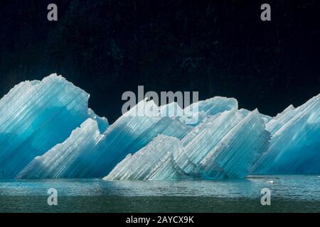 Eisberge vom South Sawyer Glacier, der in Tracy Arm, einem Fjord in Alaska bei Juneau, Tongass National Forest, Alaska, USA, schwimmt. Stockfoto