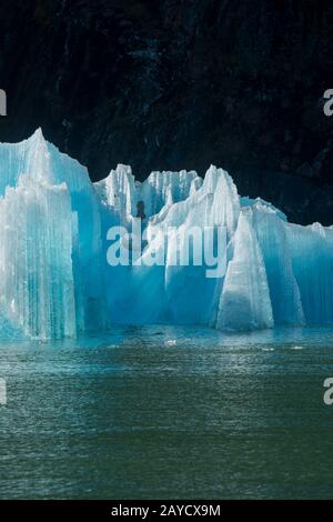 Eisberge vom South Sawyer Glacier, der in Tracy Arm, einem Fjord in Alaska bei Juneau, Tongass National Forest, Alaska, USA, schwimmt. Stockfoto