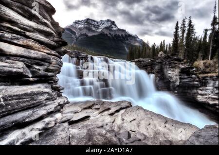 Athabasca Wasserfall Alberta Kanada Stockfoto