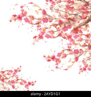 Isoliert auf weißem Hintergrund verzweigt sich ein Wasserfarbenbaum in Blüte mit Kopierbereich Stockfoto