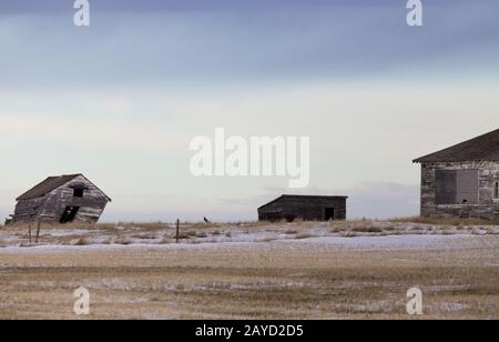 Prairie Landschaft im Winter Stockfoto