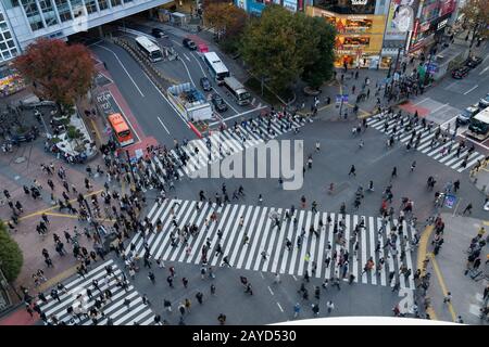 Tokio, Japan: 20. November 2019: Shibuya Crossing in Tokio, Japan. Stockfoto