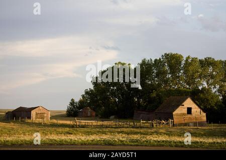 Prairie Barn Saskatchewan Stockfoto