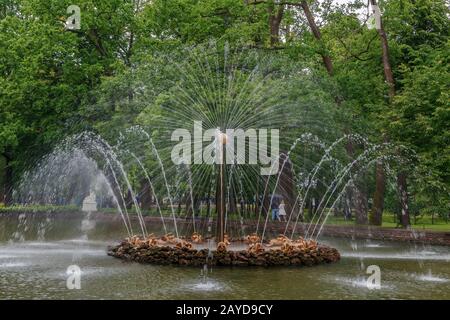 Sonnenbrunnen, Peterhof, Russland Stockfoto