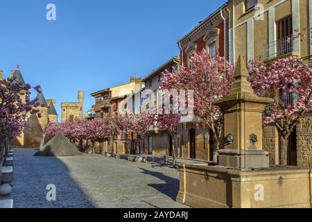 Straße in Olite, Navarra, Spanien Stockfoto