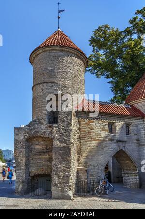 Viru Tor, Tallinn, Estland Stockfoto