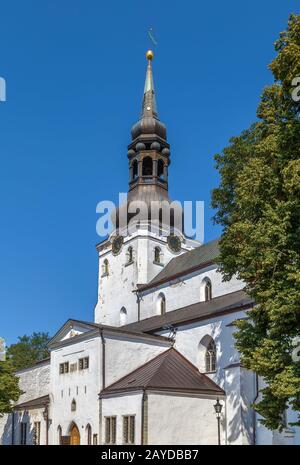 St. Mary's Cathedral, Tallinn, Estland Stockfoto