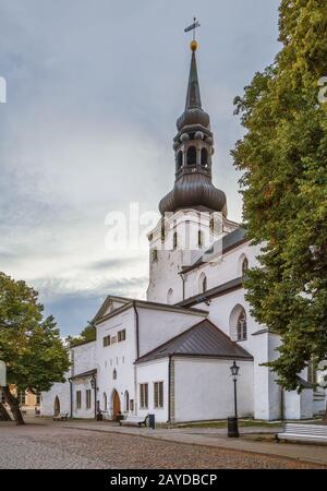 St. Mary's Cathedral, Tallinn, Estland Stockfoto