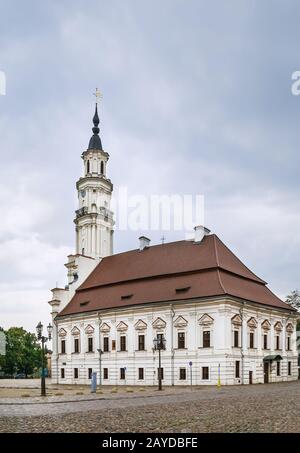 Rathaus, Kaunas, Litauen Stockfoto