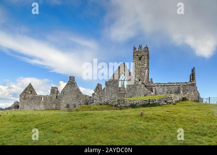 Ross Errilly Friary, Irland Stockfoto