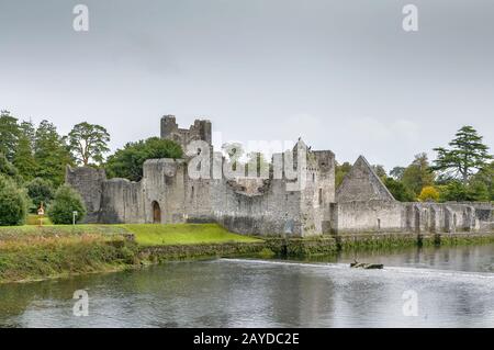 Adare Desmond Castle, Irland Stockfoto