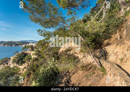 CALA DELS FRALES LLORET DE MAR COSTA BRAVA KATALONIEN SPANIEN Stockfoto