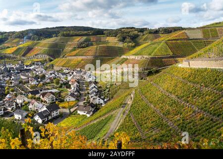 Indischer Sommer auf dem Rotweinpfad im Ahr-Tal Stockfoto