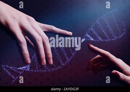 Nahaufnahme von Frau und Mann, Die Dna-Molekül berühren. Gemischte Medien. Stockfoto