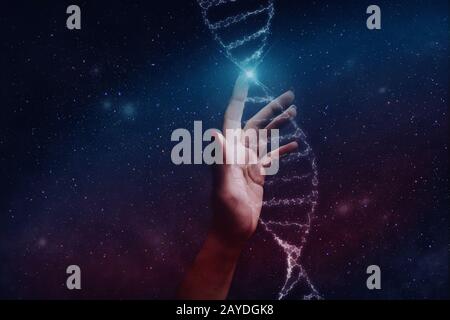 Nahaufnahme der Frau, Die Dna-Molekül berührt. Gemischte Medien. Stockfoto