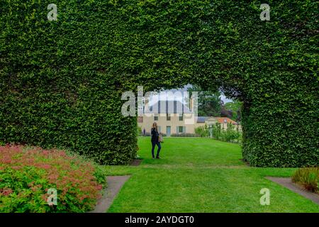 Blick auf eine Frau, die bei der Eröffnung in einem langen Buschzaun am Royal Botanic Garden in Edinburgh, Schottland, steht Stockfoto