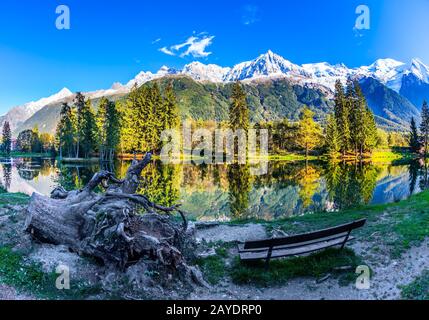 Die Bank im Stadtpark Stockfoto