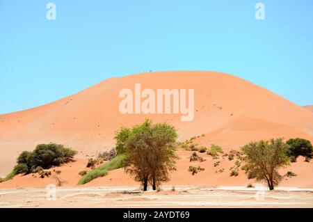 Big Mama in der Namib in der Ukraine Stockfoto