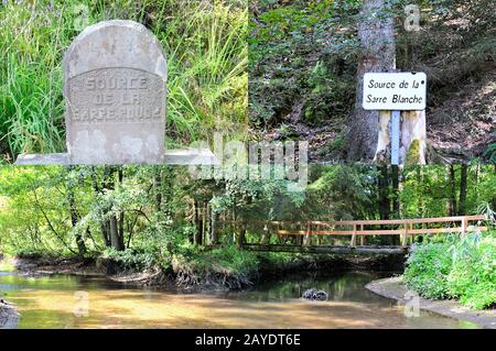 Zusammenfluss der beiden Saar Quellen in Hermelange Frankreich Stockfoto