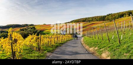 Indischer Sommer auf dem Rotweinpfad im Ahr-Tal Stockfoto