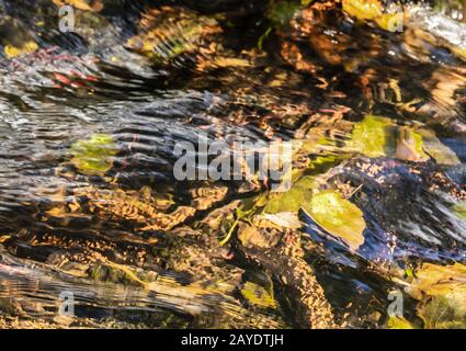 Seenplatte - Aira Force Wasserfall Stockfoto