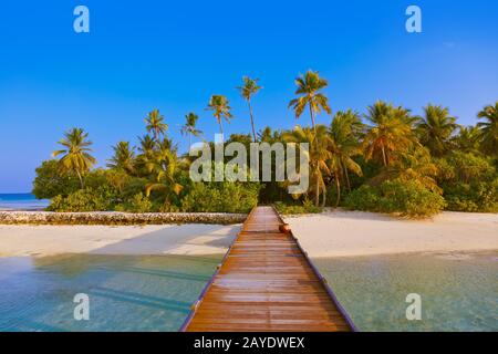 Tropische Insel der Malediven Stockfoto