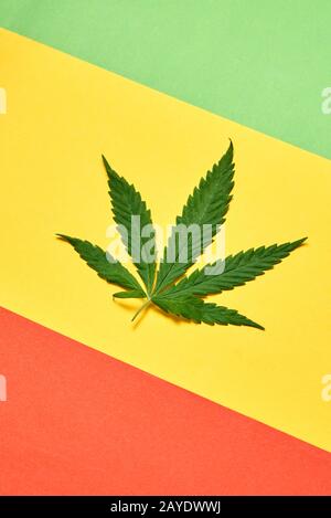 Frisches grünes Cannabisblatt auf einem dreifarbigen diagonalen Papierhintergrund. Stockfoto