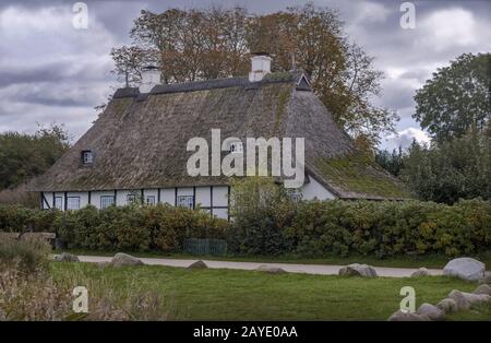 Reedhaus an der Schlei in Schleswig-Holstein Stockfoto