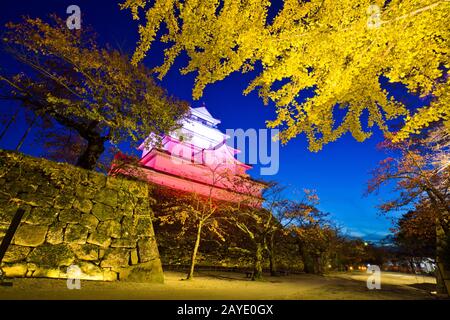 Burg Tsuruga mit Licht in der Stadt Aizu wakamatsu, Fukushima, Tohoku, Japan. Stockfoto