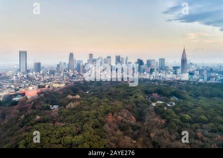 Grüner öffentlicher Park in der Stadt Tokio rund um den berühmten Stadtteil Shinjuku mit hohen Wolkenkratzern - Luftbild bei Sonnenaufgang. Stockfoto