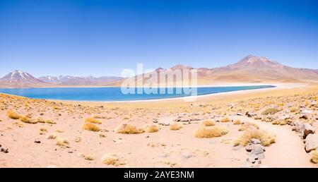 Chile Atacama Desert Miscanti Lagoon Panoramaaussicht Stockfoto