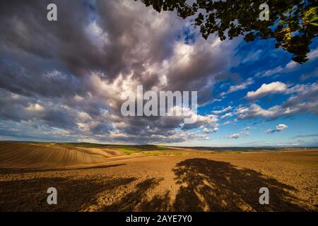 Herbstfeld mit Wolken Stockfoto