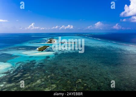 Luftbild, Lagune einer Malediven-Insel mit Korallen von oben, Süd-Male-Atoll, Malediven Stockfoto