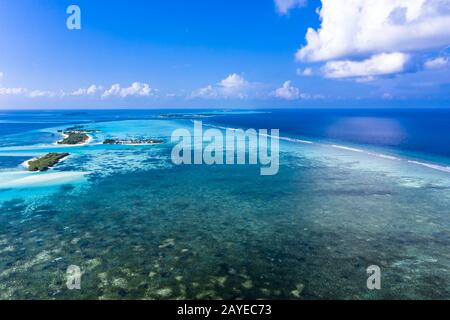 Luftbild, Lagune einer Malediven-Insel mit Korallen von oben, Süd-Male-Atoll, Malediven Stockfoto